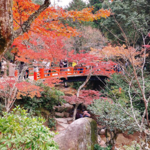 紅葉谷公園